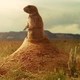 photo du film Indiana Jones et le Royaume du crâne de cristal
