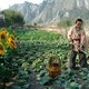 photo du film Les Orphelins de Huang Shi
