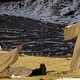 photo du film Le Voyage aux Pyrénées
