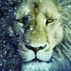 photo du film Le Monde de Narnia : chapitre 3 - L'odyssée du Passeur d'Aurore