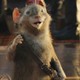 photo du film Le Monde de Narnia : chapitre 3 - L'odyssée du Passeur d'Aurore
