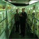 photo du film Jar City