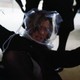photo du film The broken