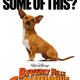 photo du film Le Chihuahua de Beverly Hills