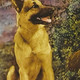 Voir les photos de Rin Tin Tin Jr. sur bdfci.info