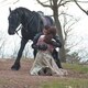 photo du film Last Knights