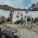 photo du film Interdit aux chiens et aux Italiens