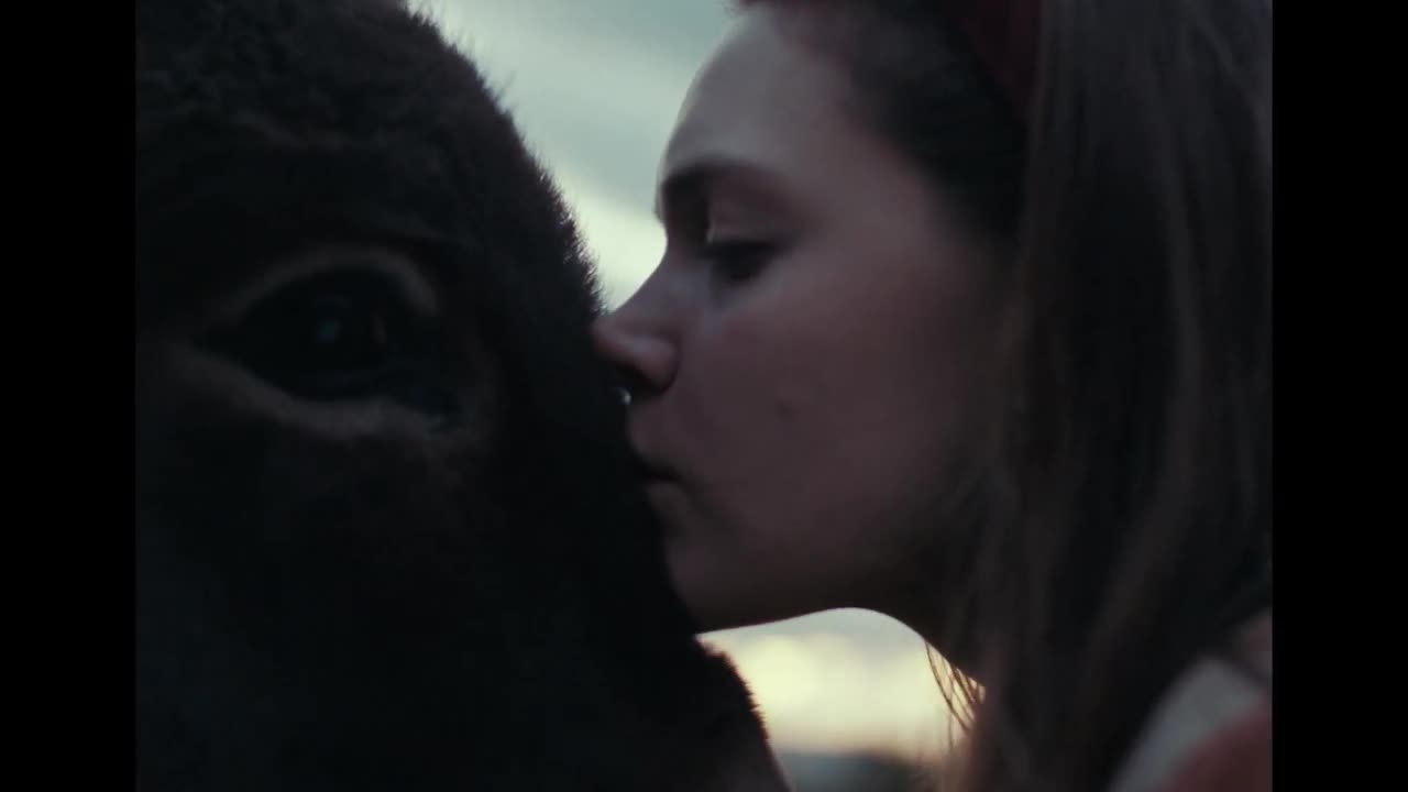 Un extrait du film  Hi-Han