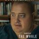photo du film The Whale
