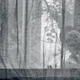 photo du film Licu, une histoire roumaine
