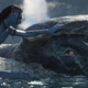 photo du film Avatar : La voie de l'eau