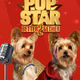 photo du film Pup star : À 2 c’est mieux