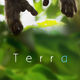 photo du film Terra
