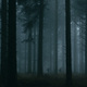 photo du film Le Coeur noir des forêts
