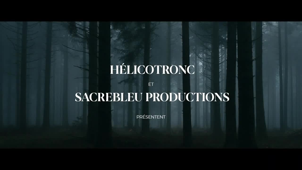 Extrait vidéo du film  Le Coeur noir des forêts
