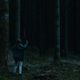 photo du film Le Coeur noir des forêts