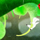 photo du film Piro Piro