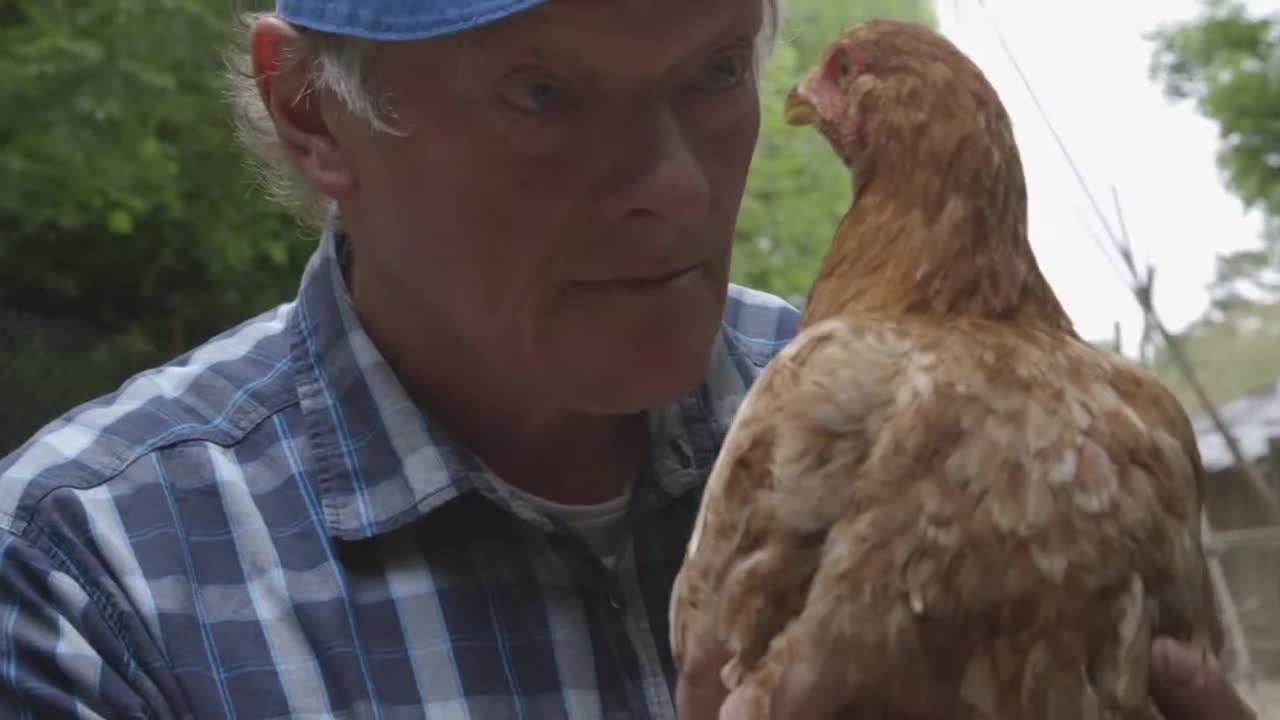 Extrait vidéo du film  La Ferme à Gégé