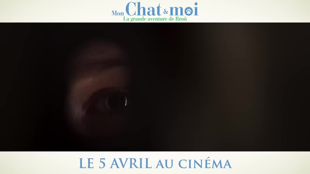Extrait vidéo du film  Mon chat et moi, la grande aventure de Rroû