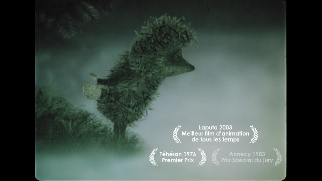 Extrait vidéo du film  Le Petit hérisson dans la brume et autres merveilles