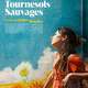 photo du film Les Tournesols sauvages