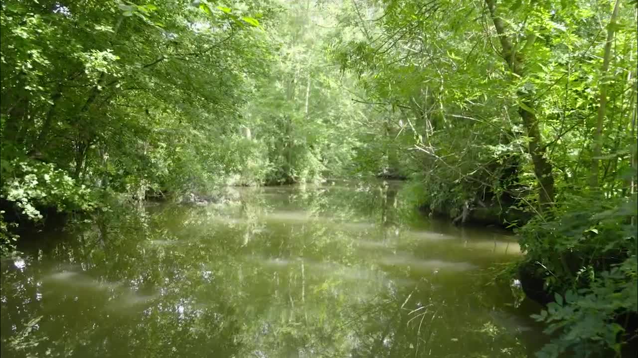 Extrait vidéo du film  De l eau jaillit le feu