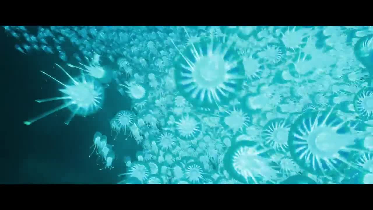 Extrait vidéo du film  Ruby, l’ ado Kraken