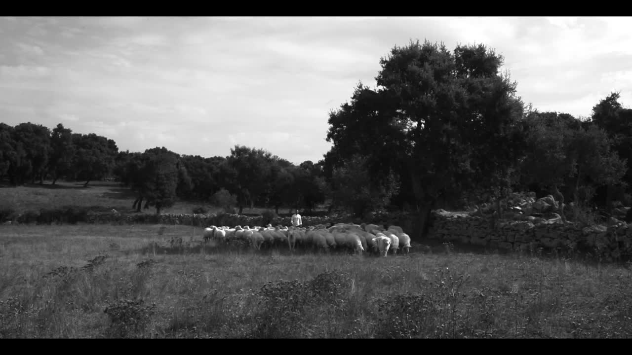 Extrait vidéo du film  La Louve
