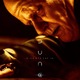 photo du film Dune : Deuxième Partie