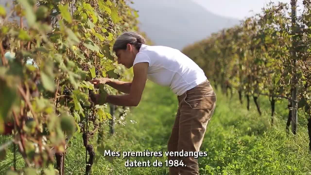 Extrait vidéo du film  Vigneronnes