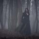 photo du film Les Trois Mousquetaires : Milady