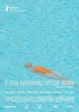 A Fish Swimming Upside Down