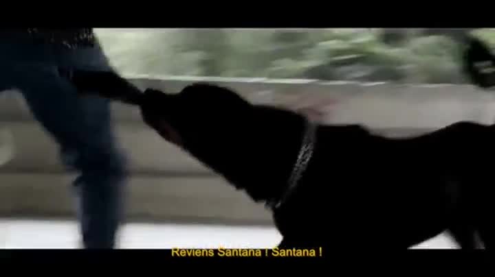 Extrait vidéo du film  Un monde de chien