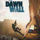 photo du film The dawn wall