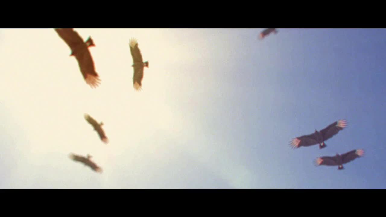 Extrait vidéo du film  O matador