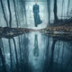 photo du film The lodgers