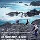 photo du film Un corps sous la lave