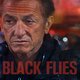 photo du film Black Flies