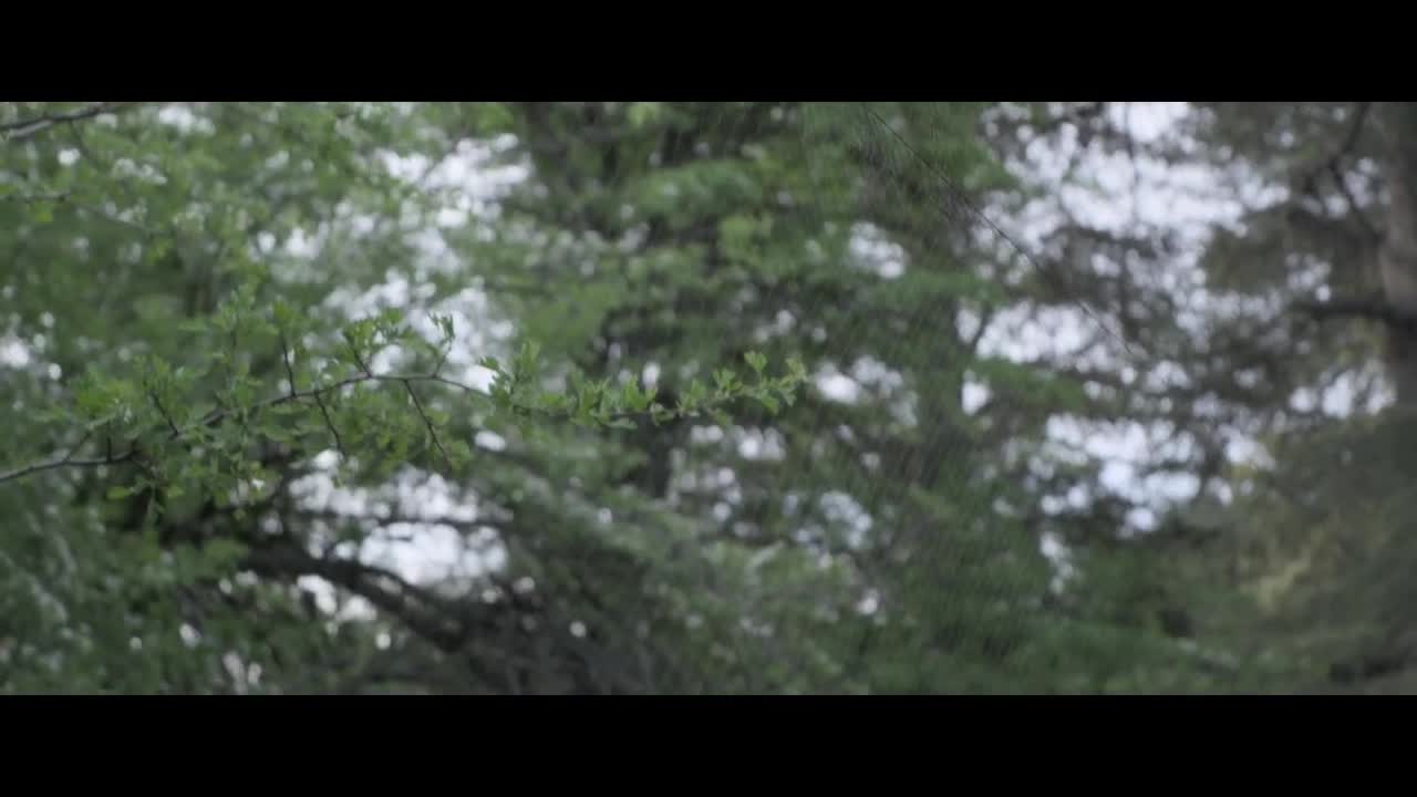 Extrait vidéo du film  Indivision