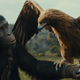photo du film La Planète des Singes - Le Nouveau Royaume