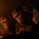 photo du film La Planète des Singes - Le Nouveau Royaume