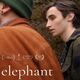 photo du film Elephant