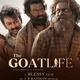 photo du film The Goat Life