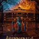 photo du film Aranmanai 4