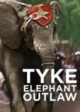 voir la fiche complète du film : Tyke elephant outlaw