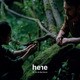 photo du film Here