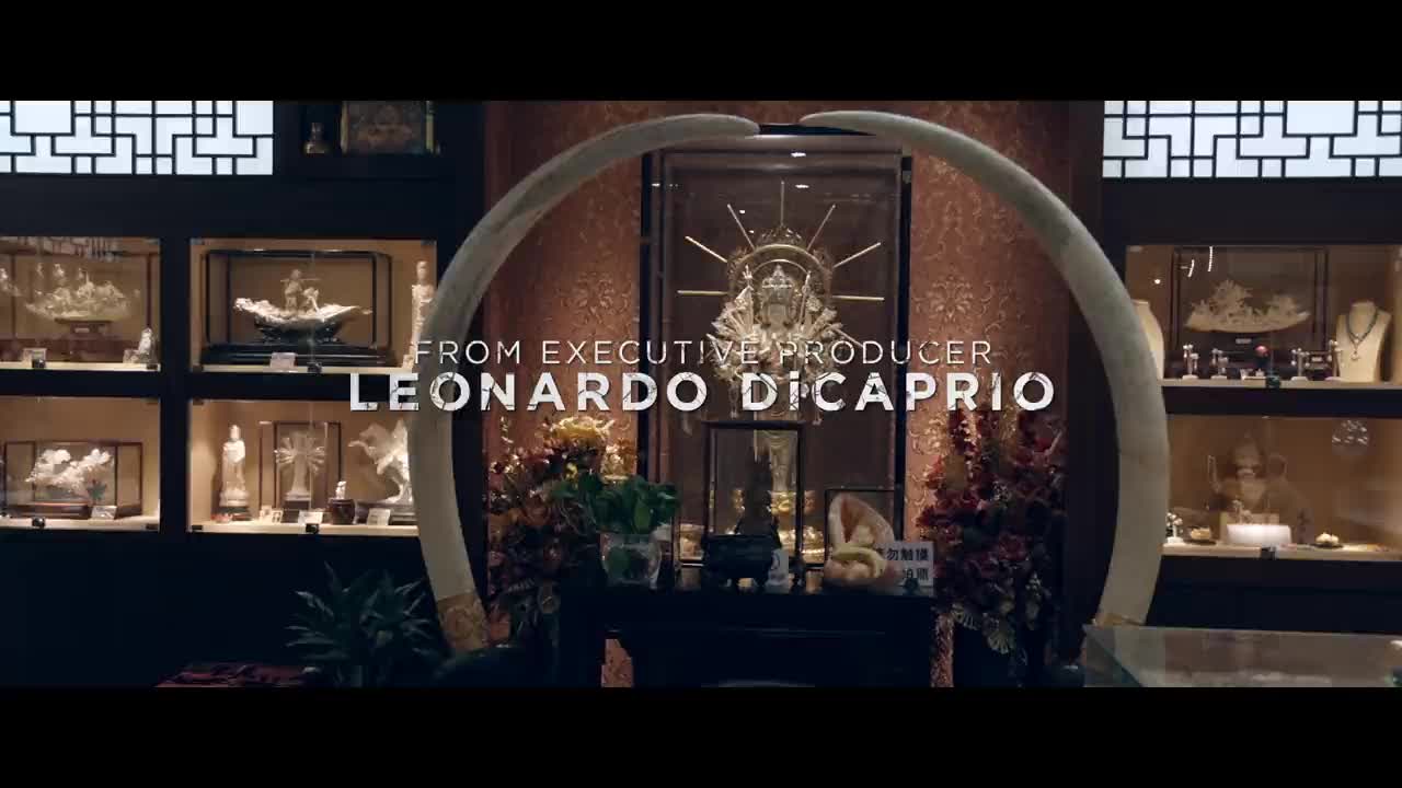 Extrait vidéo du film  The ivory game