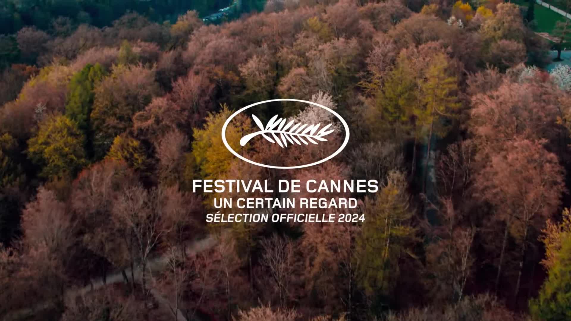 Extrait vidéo du film  Le Procès du chien