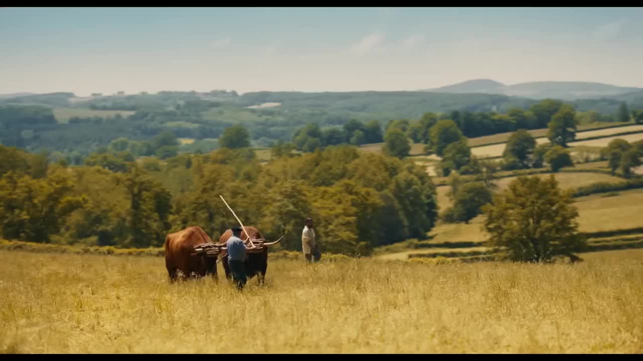 Extrait vidéo du film  C est le monde à l envers !