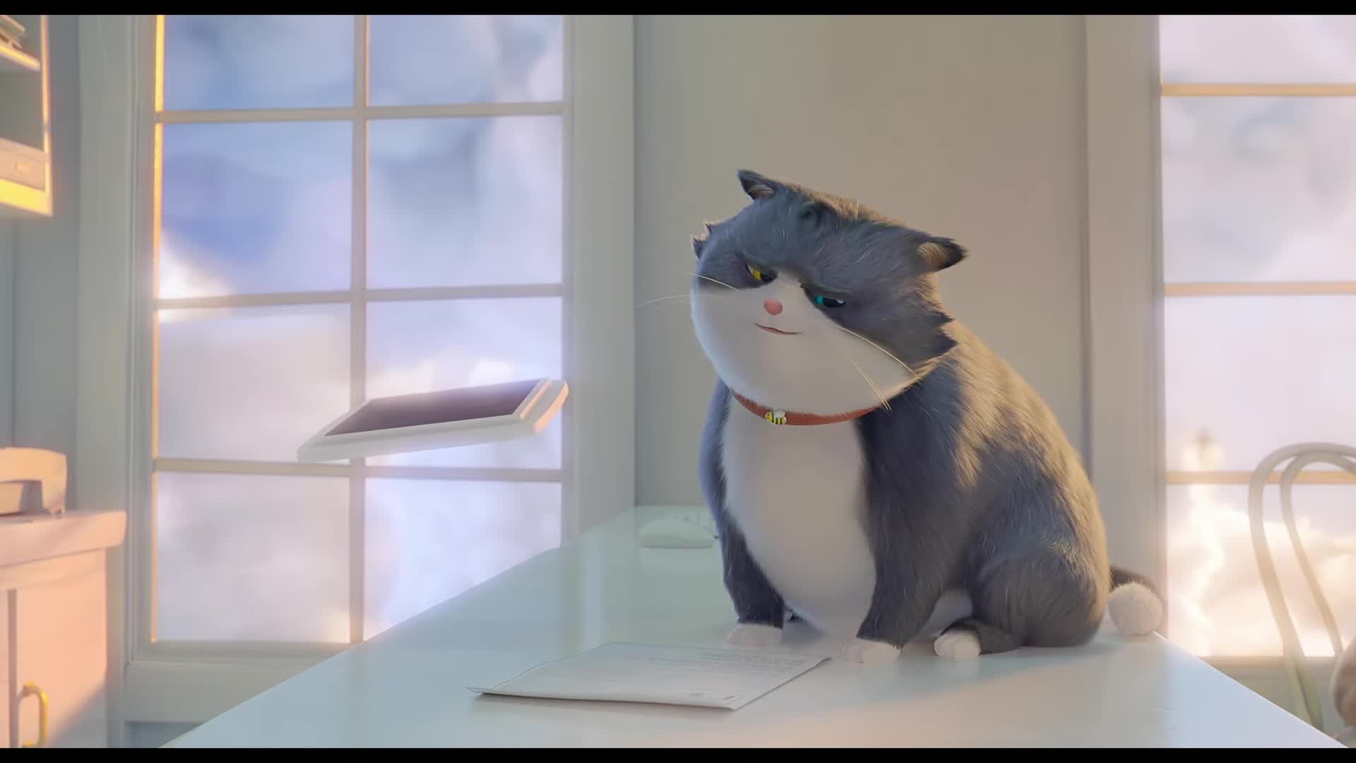 Extrait vidéo du film  Croquette le chat merveilleux